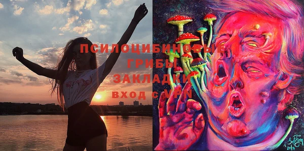 герыч Арсеньев